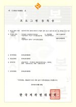 program_11